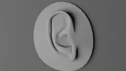 Human Ear Free 3D print model