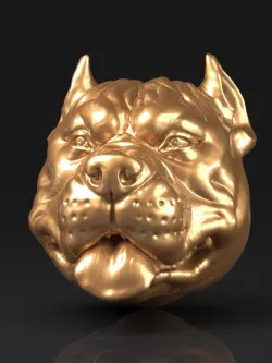 Pitbull Head 3D print model