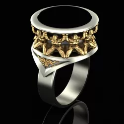 Priests of the Cult Ring 3D print model