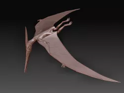 Pterodactylus 3D print model
