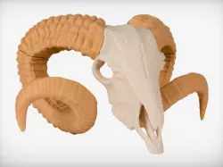 Ram Skull