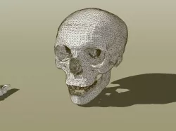 RCS Skull Free 3D print model