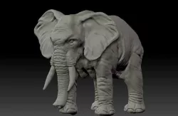 Realistic Elephant 3D print model