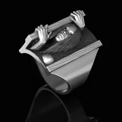Ring Door 3D print model