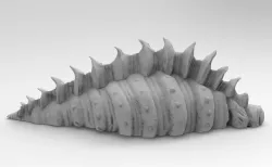 Sea Shell 3D print model