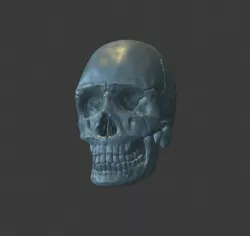 Skull 3D print model