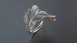 wing ring 3D print model
