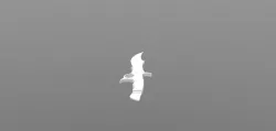 8 inch knife Free 3D print model