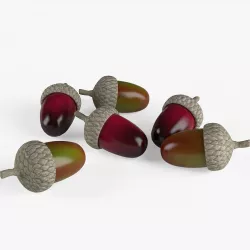 Acorns 3D model