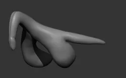 Anatomical Clitoris Free 3D print model