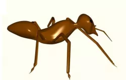 Ant Model Free 3D print model