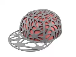 Brain Cap Free 3D print model
