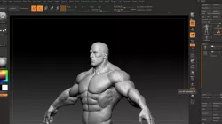 buff male white 3D model