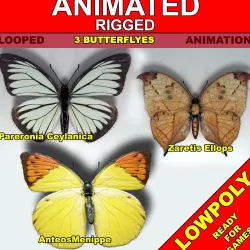 Butterflies Pack Low-poly  3D model
