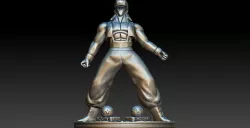 C-13 dragon ball Z 3d print 20cm Free 3D print model