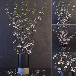 Cherry tree 3D model