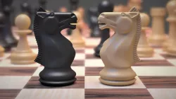 Chess Set 3D model