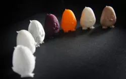 Chicken Free 3D print model