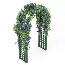 Convolvulus Arch 3D model
