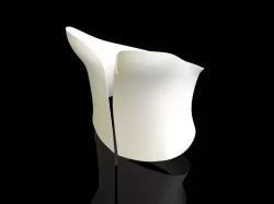 Corset  Free 3D print model