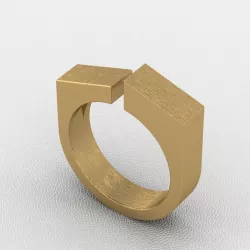 cut ring Free 3D print model