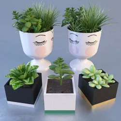 Eyes pot 3D model