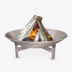 Fire Plate 3D model