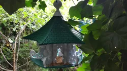 Flowing Bird Feeder Free 3D print model