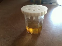Fruit Fly Trap Free 3D print model