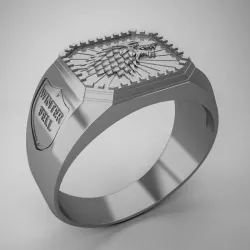 Game of Thrones House Stark Ring Free 3D print model