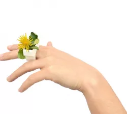 Grass Ring Free 3D print model