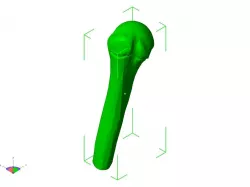 Humerus Bone - Human top half Free 3D print model