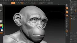 male monkey 3D model
