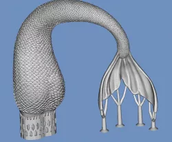 Mermaid tail Free 3D print model