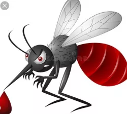 Mosquito Free 3D print model