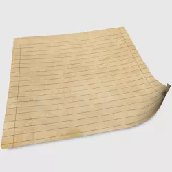 Old Paper 3D model