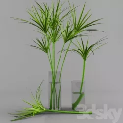 plant Free 3D print model