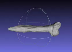 Psittacosaurus Chevron Free 3D print model