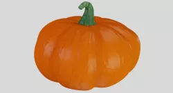 Pumpkin 3D model