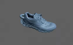 Reebok Realflex 3D Scan And Keychain Free 3D print model