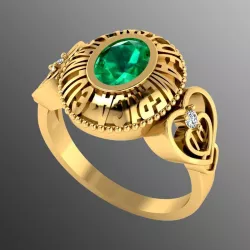 Ring akr 21 Free 3D print model