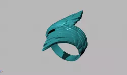 Ring Free 3D print model