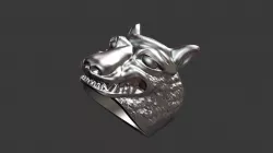 Ring Silver Free 3D print model