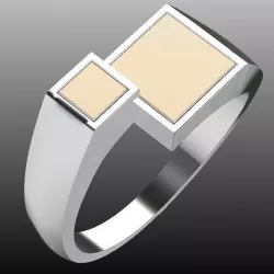  Silver Jewelry Collection Free 3D print model