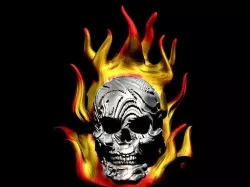 Skull on Fire Free 3D print model