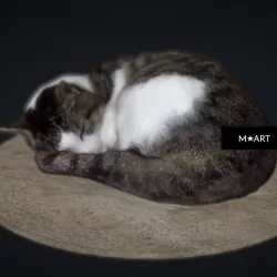 Sleeping Cat 3D model