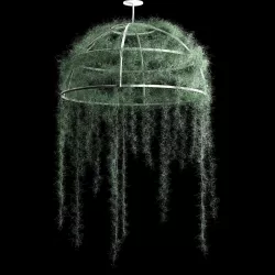 Spanish moss dome 3D model