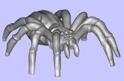 Spider Free 3D print model