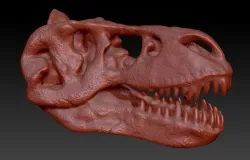 T-Rex Skull Free 3D print model