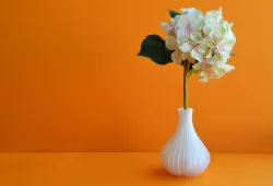 Vases Free 3D print model